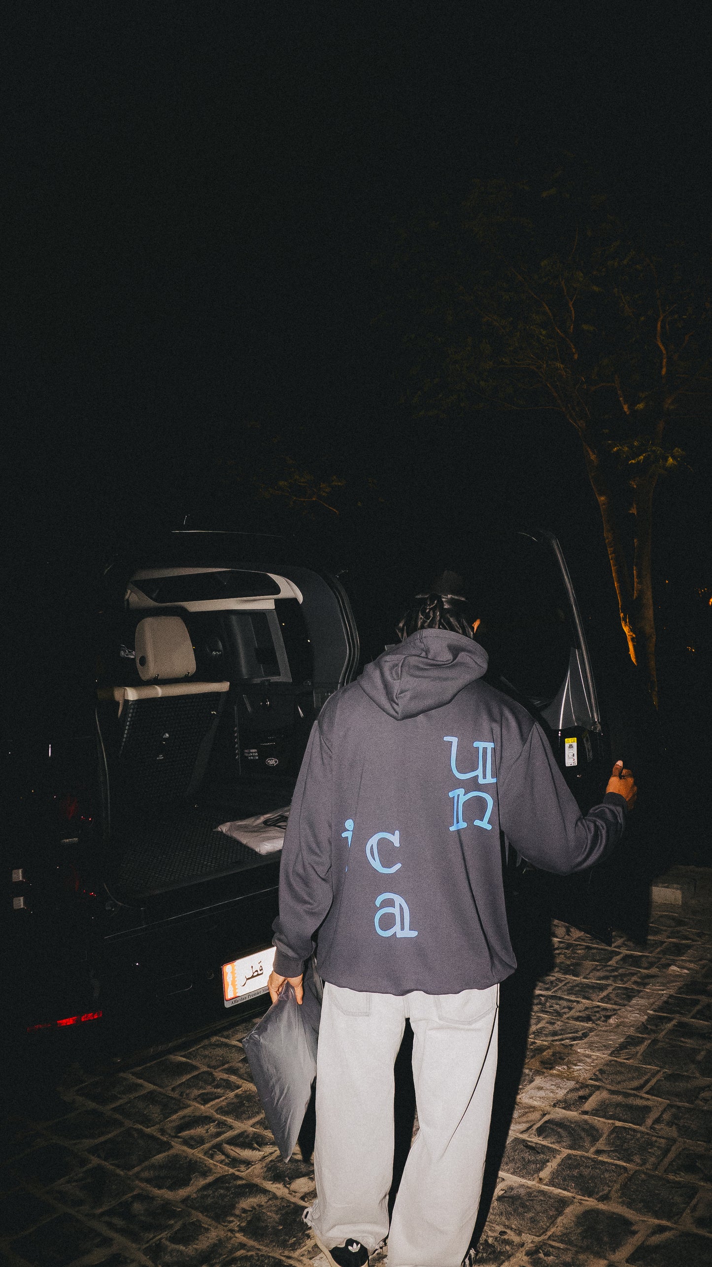 Iconic Hoodie